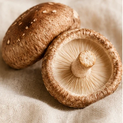 Shiitake
